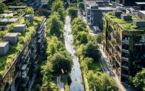 Schwammstadt in der Praxis: Ingenieurtechnische Lösungen und grüne Infrastruktur im Dialog - Online Tagung