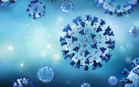 BIngk und BAK veröffentlichen Ergebnisse ihrer Corona-Umfrage