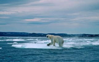 Herausforderung Klimaschutz