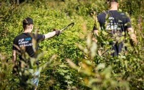 Erfolgreiche Baumpflege-Aktion in Stolberg