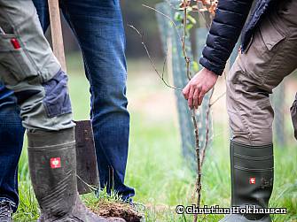 Baumpflanzaktion (Kammer für die Umwelt)