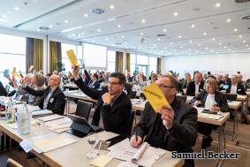 Vertreterversammlung