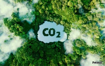 "Der Klimawandel folgt Naturgesetzen und die sind gnadenlos"
